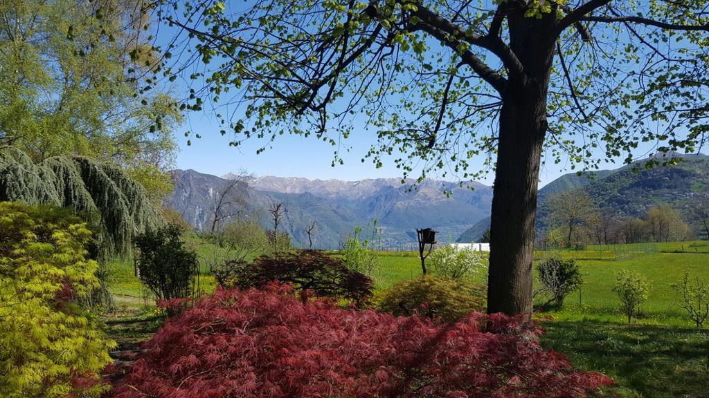 Villa San Giorgio Pellio Superiore Dış mekan fotoğraf