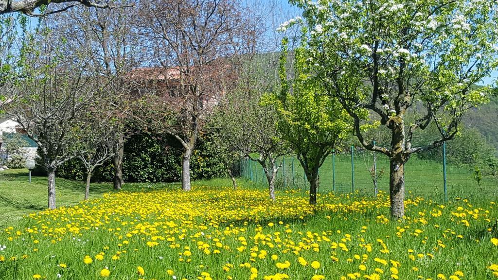 Villa San Giorgio Pellio Superiore Dış mekan fotoğraf